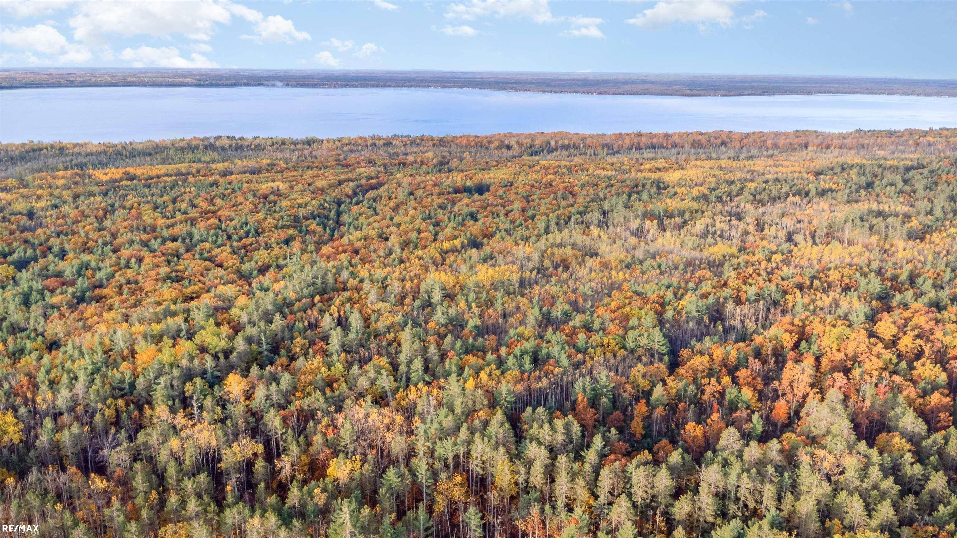 21000 Ash HWY, Bearinger Twp, MI 49765