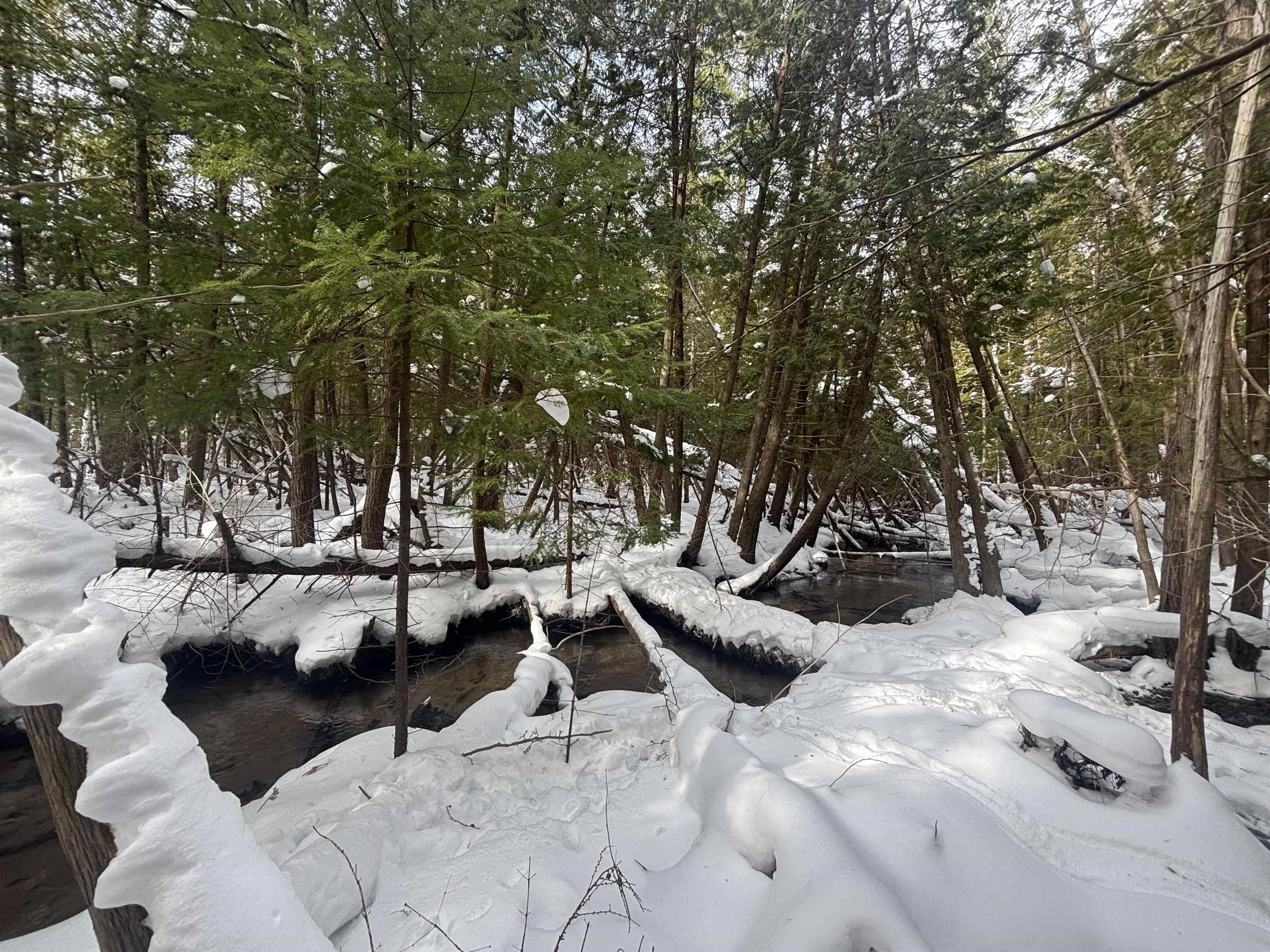 4715 Springbrook DR, Acme Twp, MI 49690