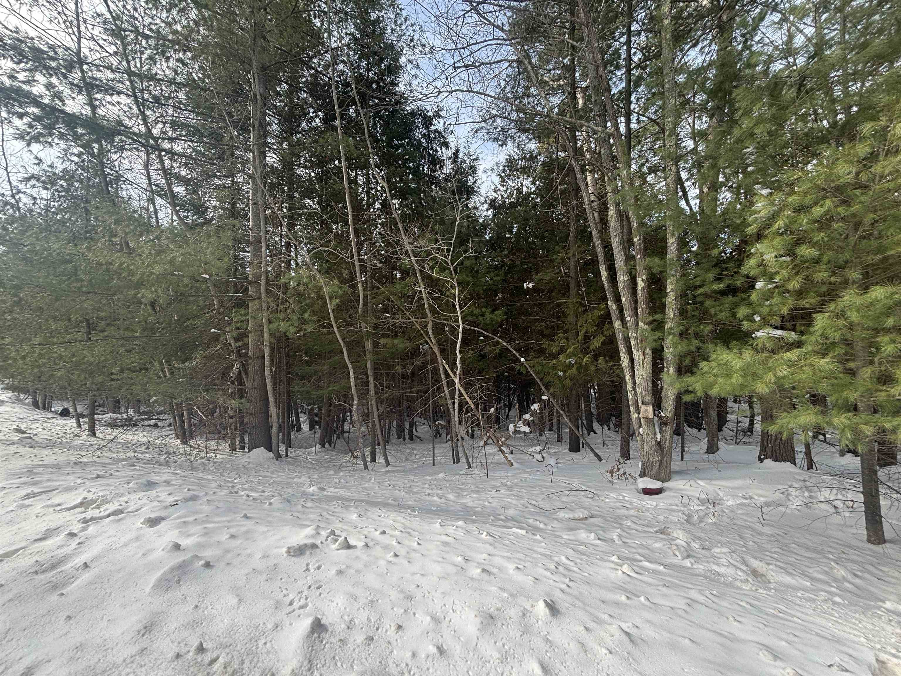 4715 Springbrook DR, Acme Twp, MI 49690