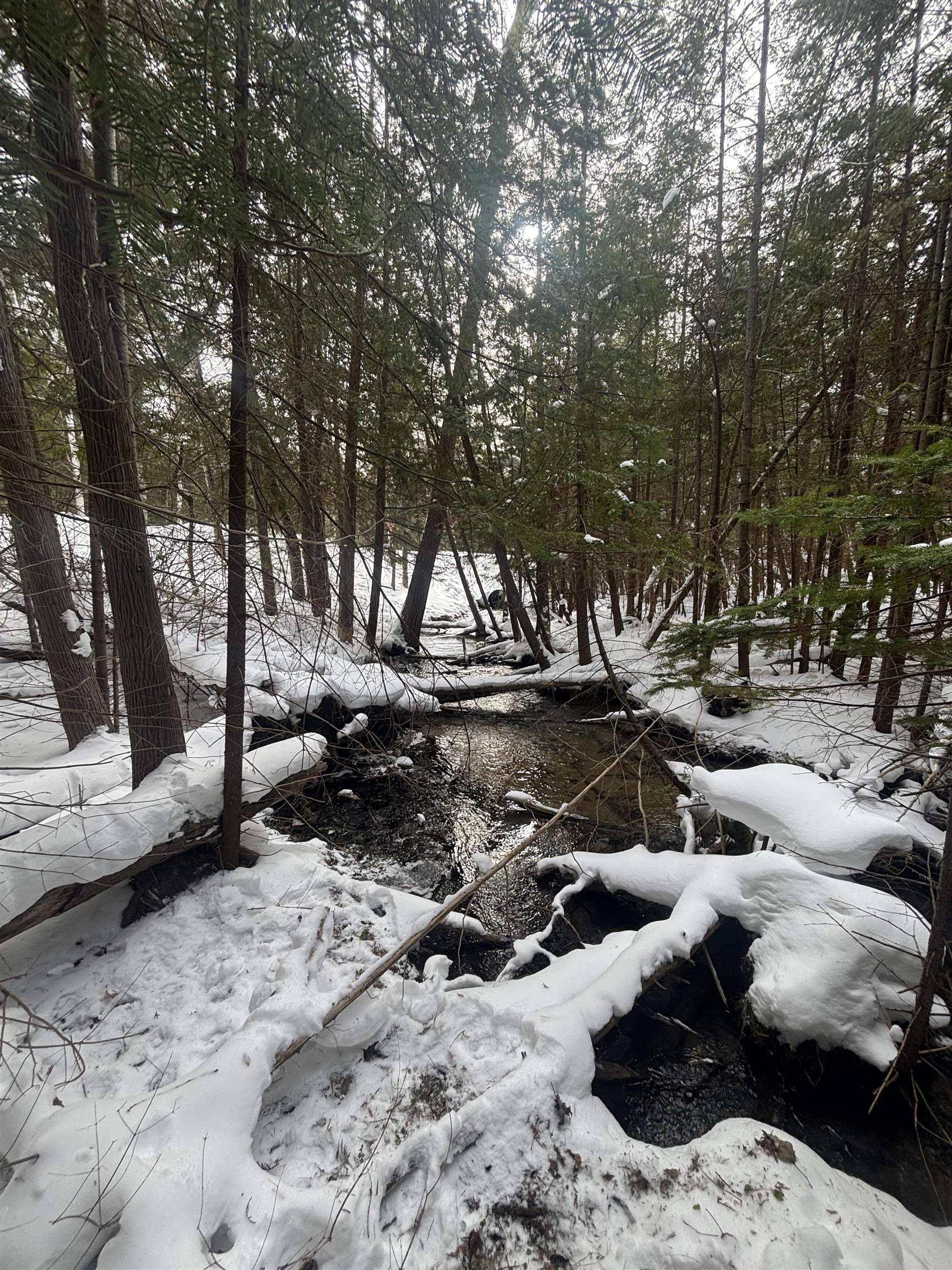 4715 Springbrook DR, Acme Twp, MI 49690