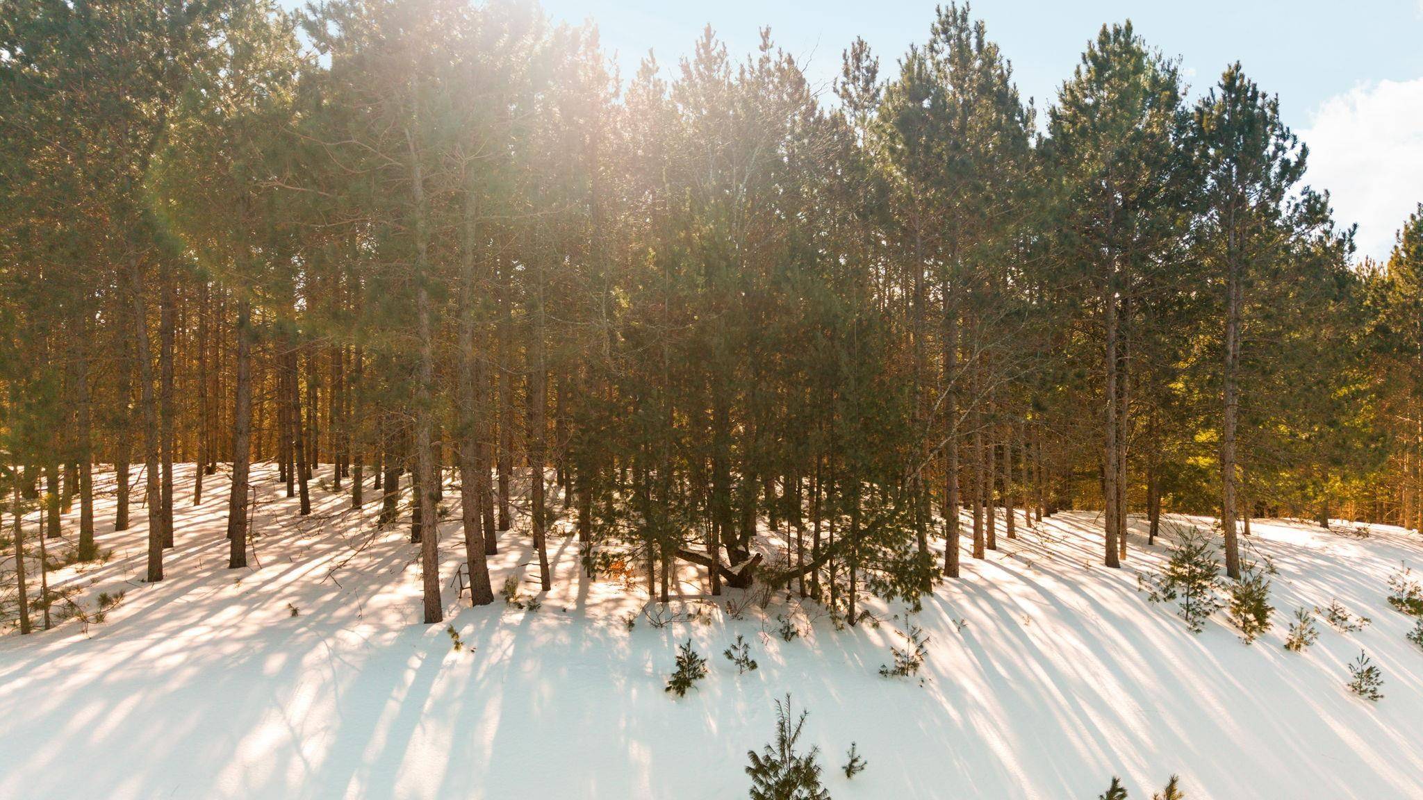 4811 Truax Lake RD, Whitewater Twp, MI 49690