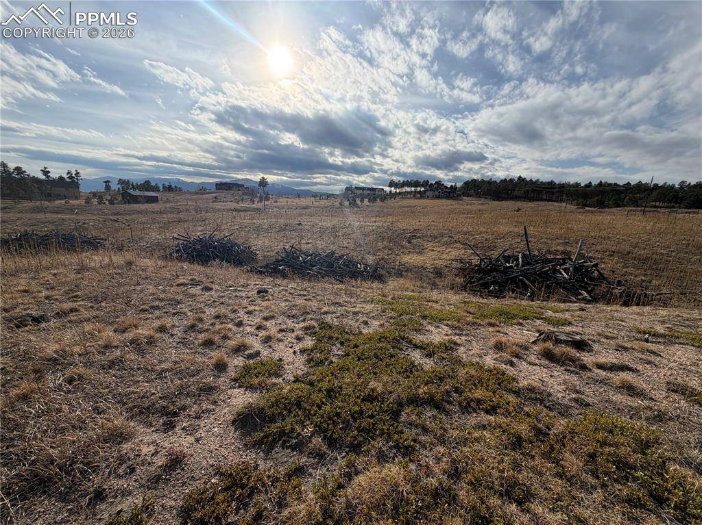 13810 Wildoak DR, Black Forest, CO 80908