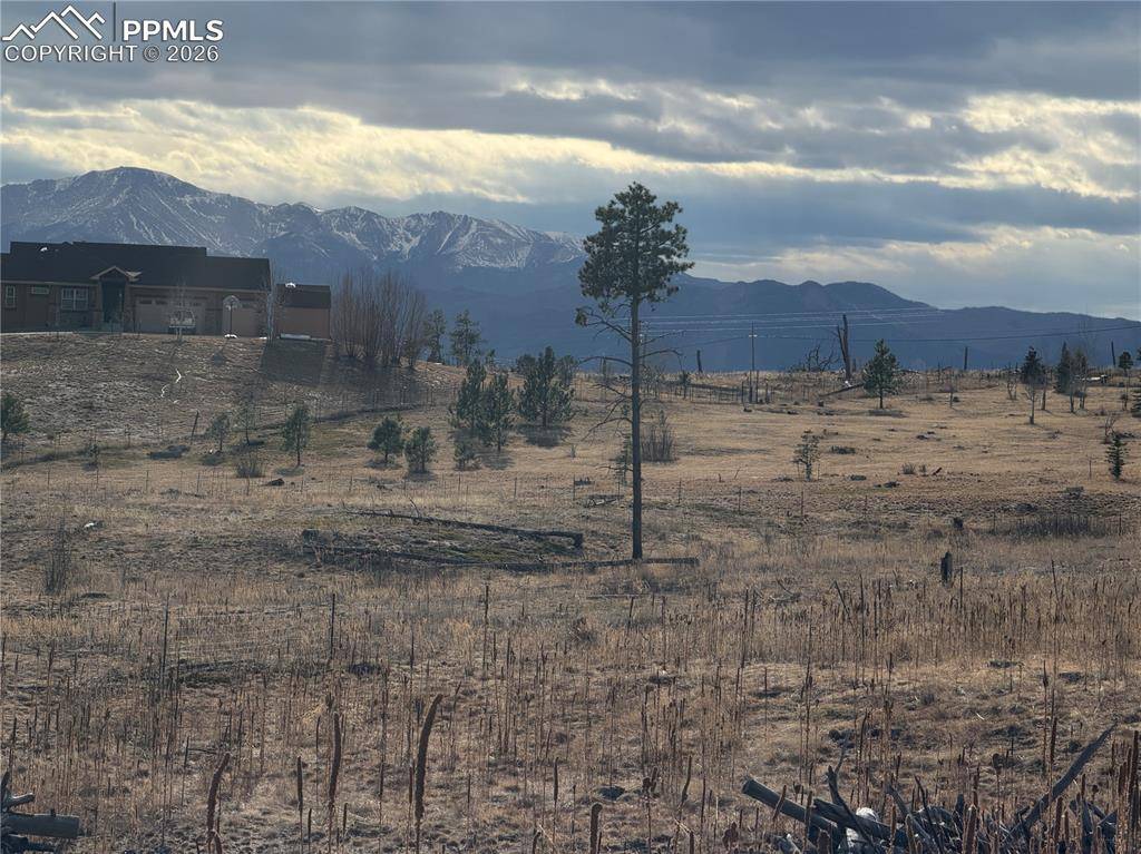 13810 Wildoak DR, Black Forest, CO 80908