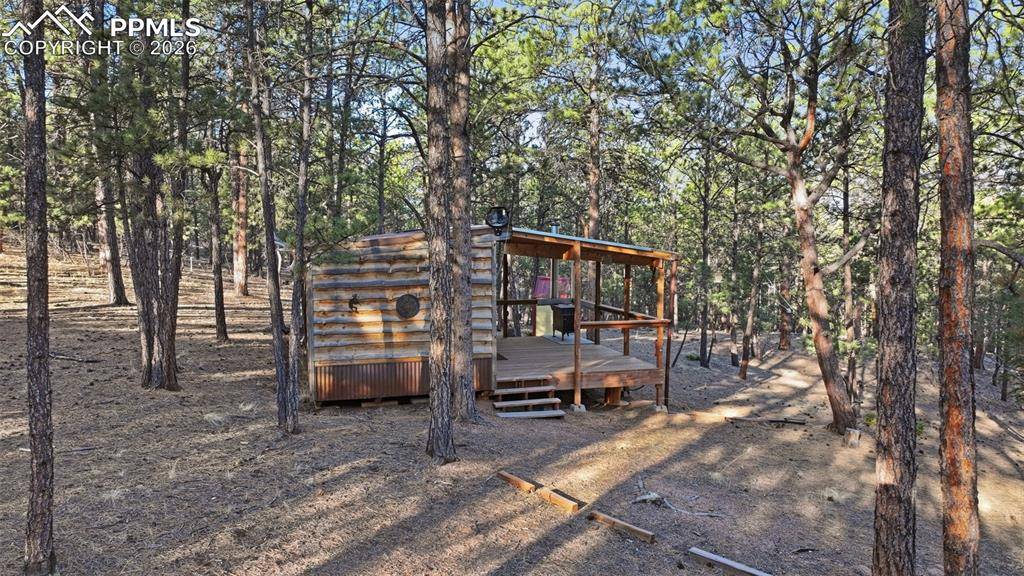 163 Ouray RD, Florissant, CO 80816