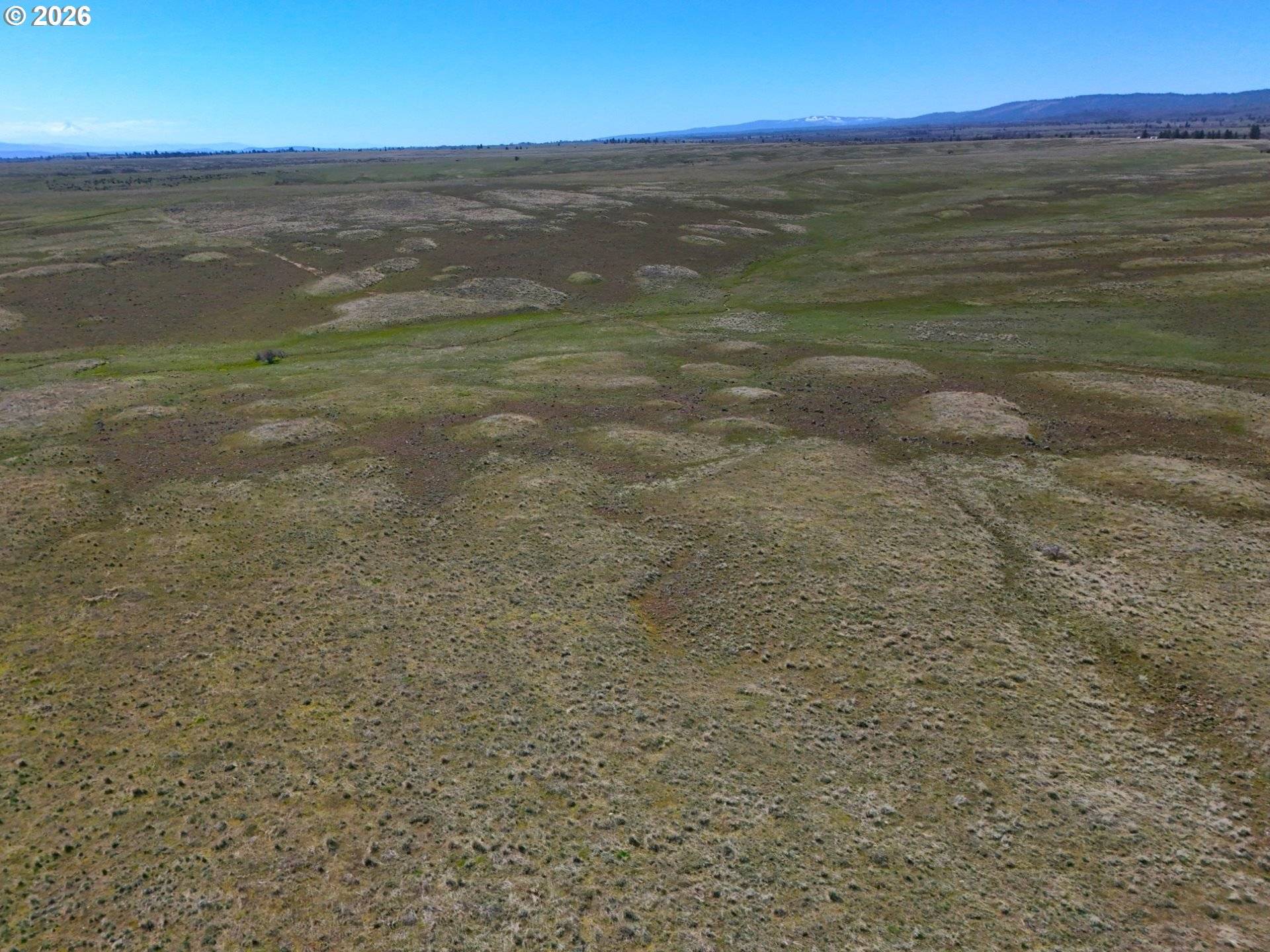 Dot RD #1, Bickleton, WA 99322