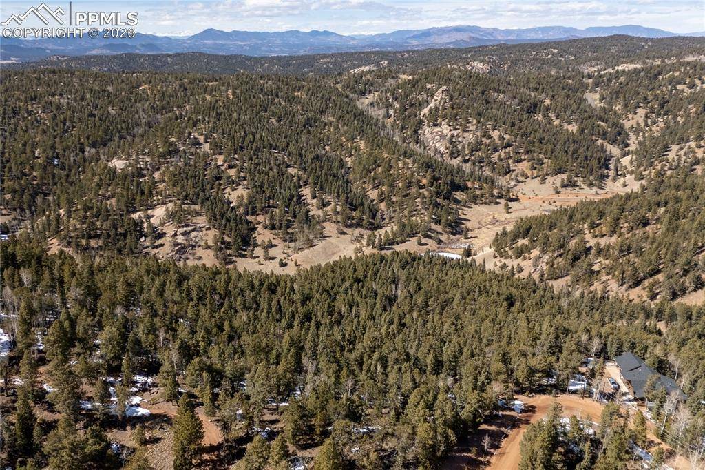 81 Haven RD, Divide, CO 80814