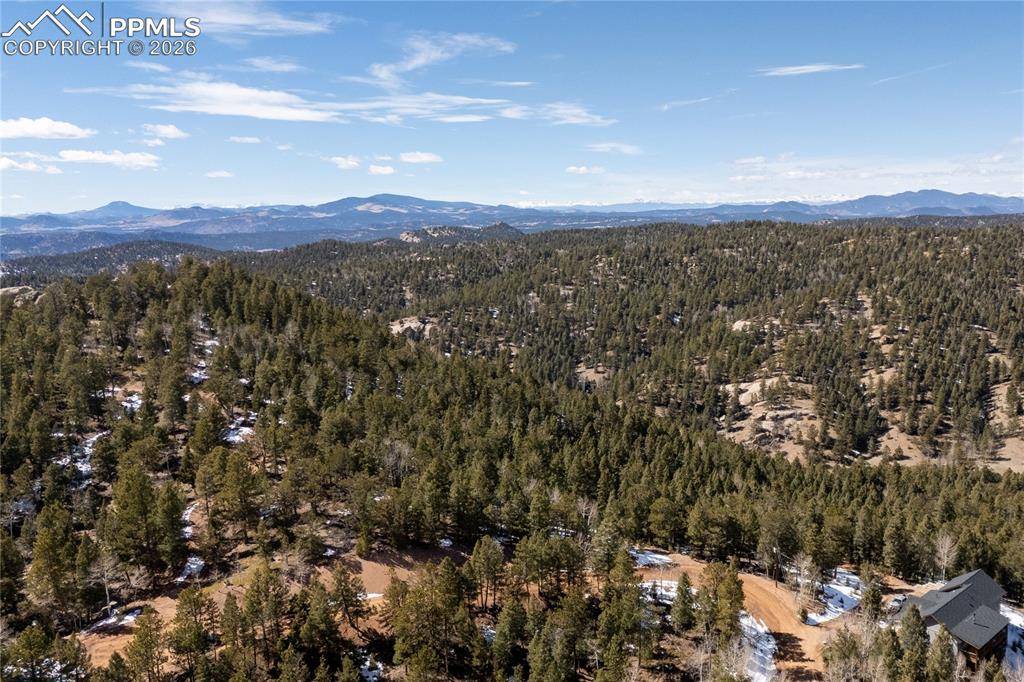 81 Haven RD, Divide, CO 80814