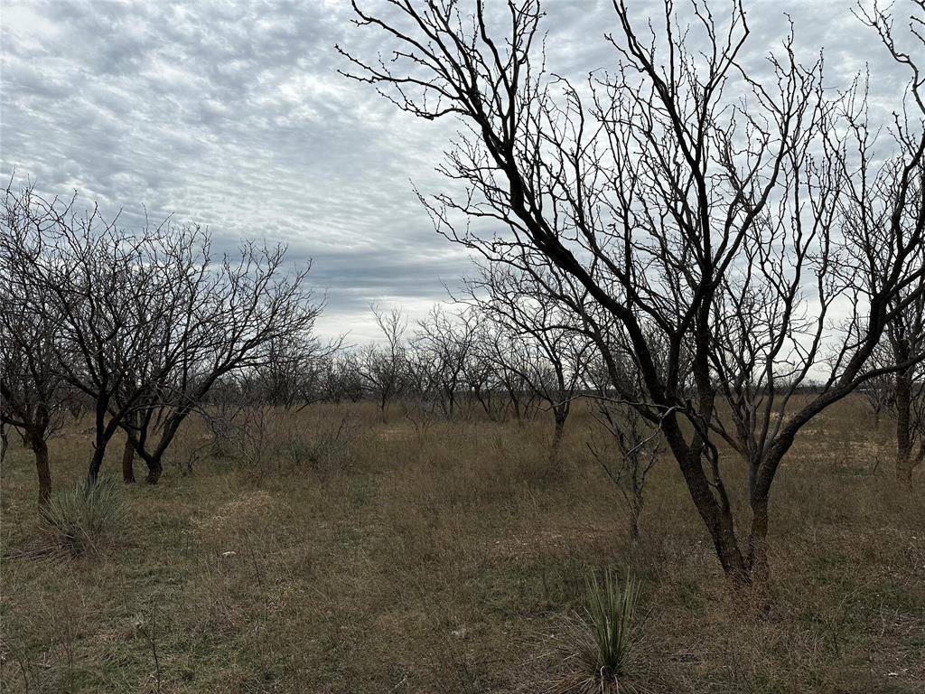 Tract 12 CR 152, Abilene, TX 79601