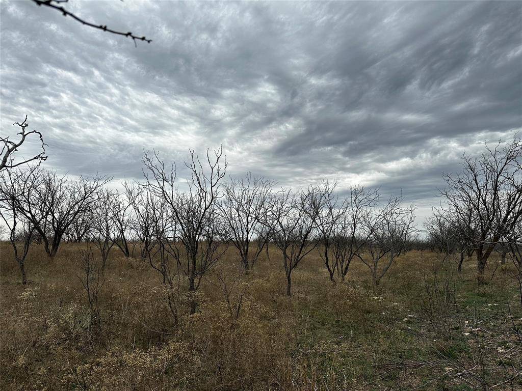 Tract 12 CR 152, Abilene, TX 79601