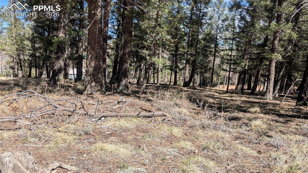 924 Will Scarlet DR, Divide, CO 80814