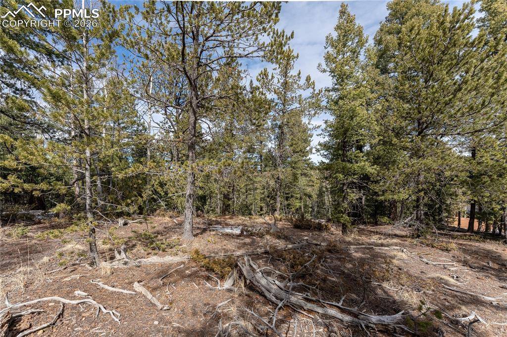 107 Haven RD, Divide, CO 80814