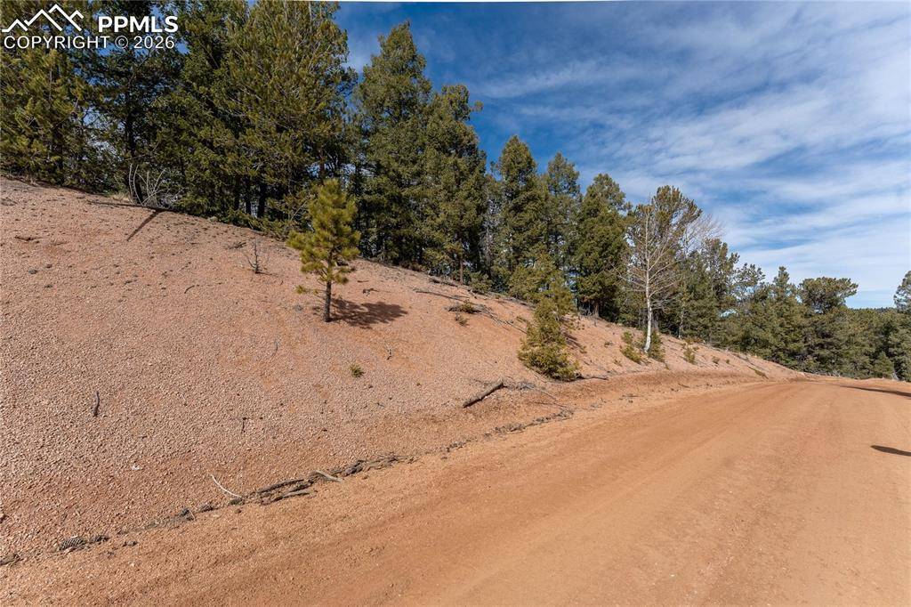 107 Haven RD, Divide, CO 80814
