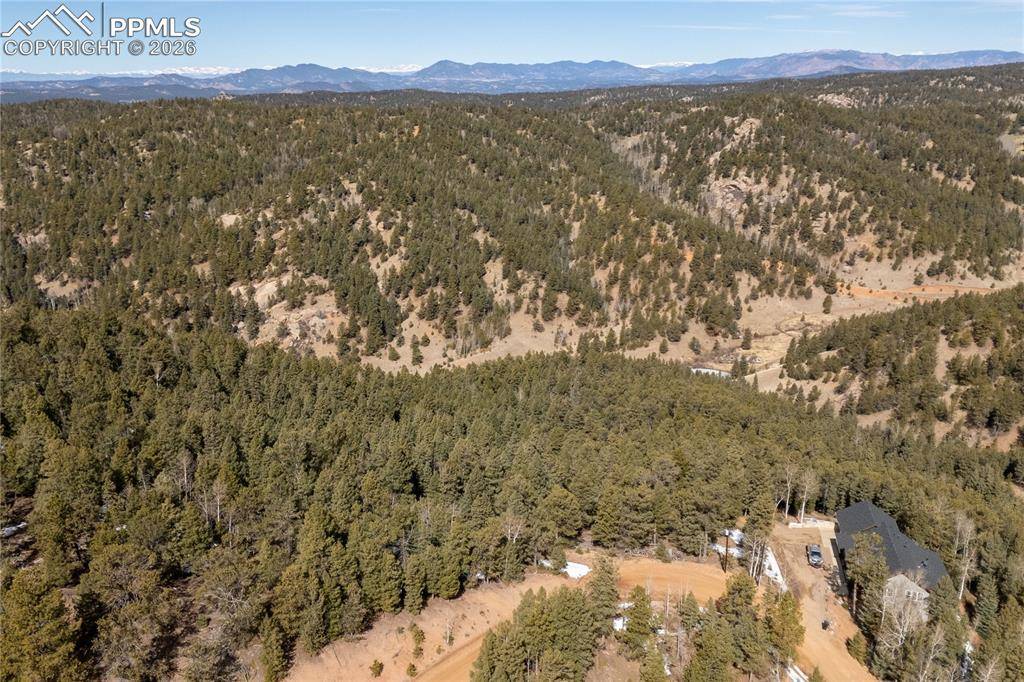 107 Haven RD, Divide, CO 80814