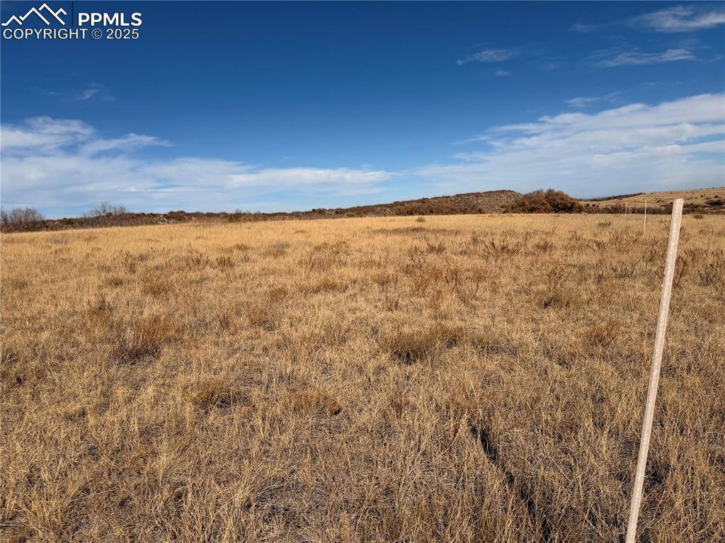 Patsy PL, Colorado City, CO 81089