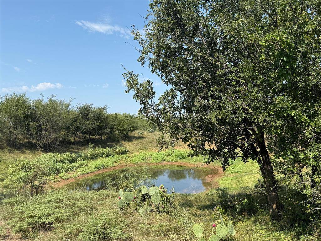 0000 Proffitt Road, Newcastle, TX 76372