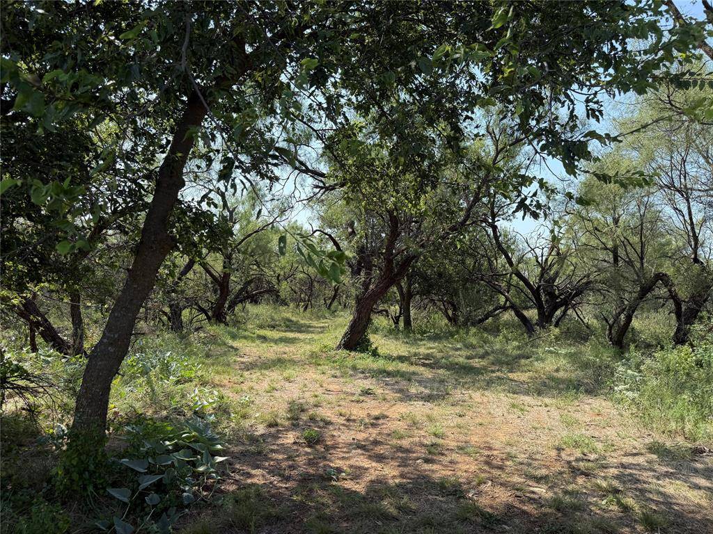 0000 Proffitt Road, Newcastle, TX 76372