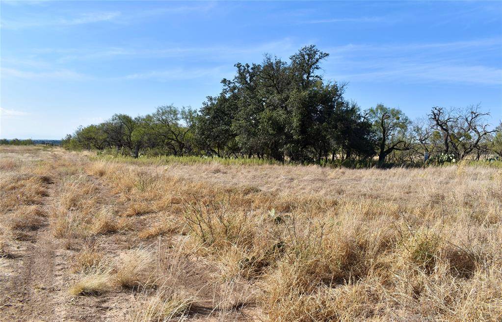 60 A CR 144, Brady, TX 76825