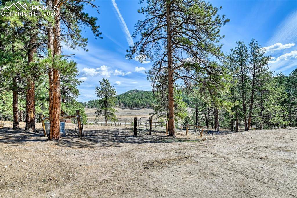 37081 County Road 77, Lake George, CO 80827