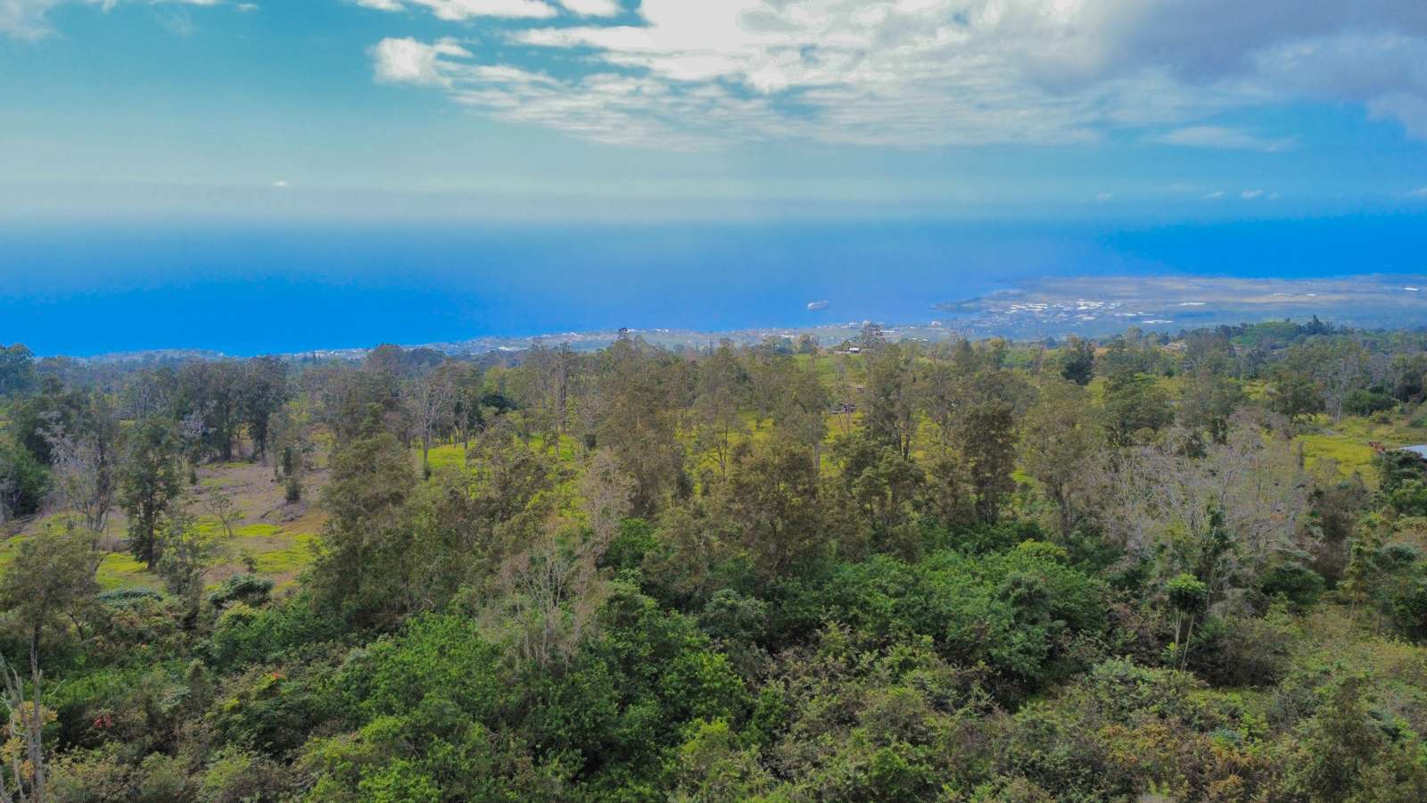 76-1302 WAIONO RANCH RD #1, Holualoa, HI 96725