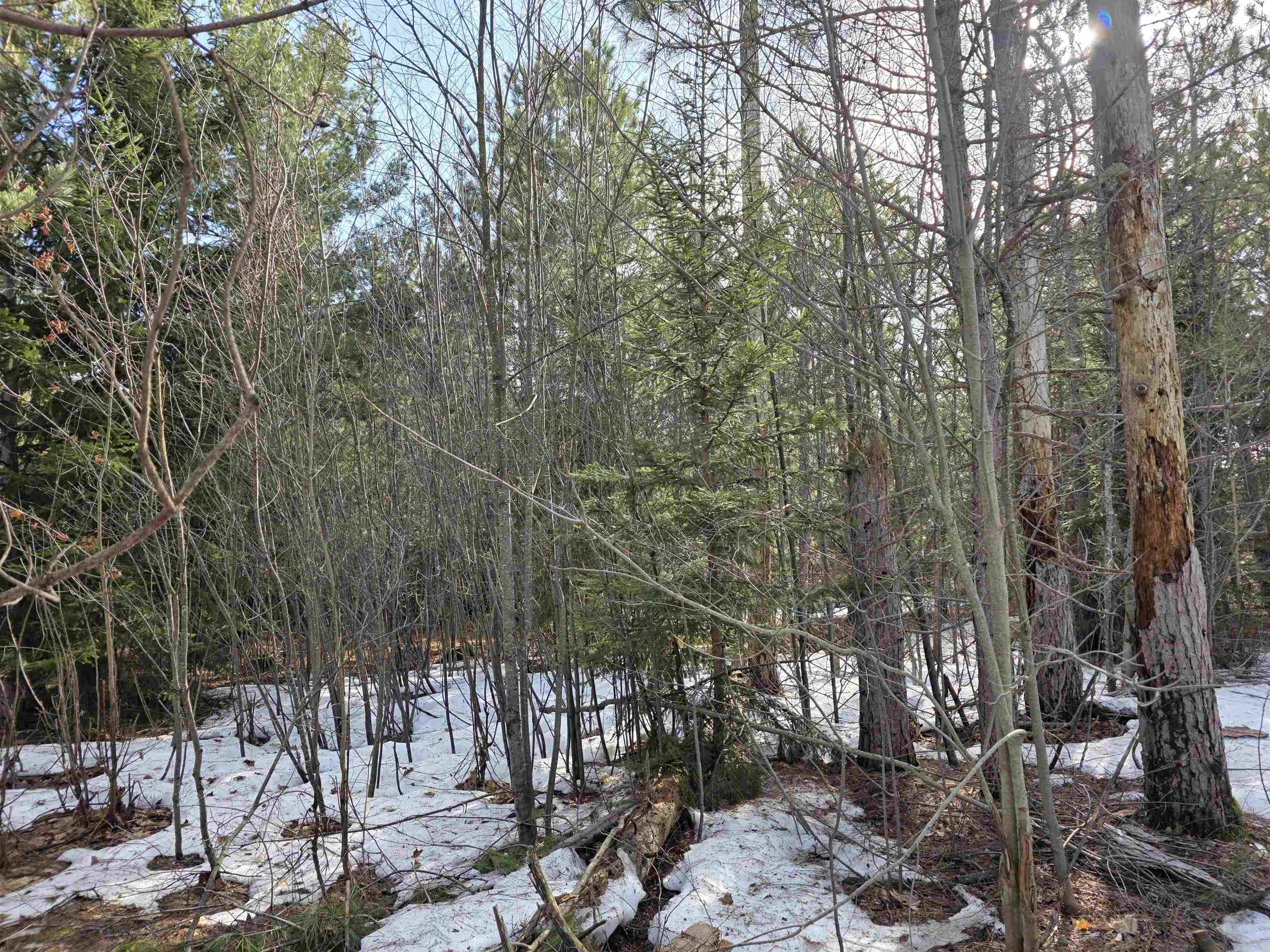 0001 Cedar River RD, Mancelona Twp, MI 49659