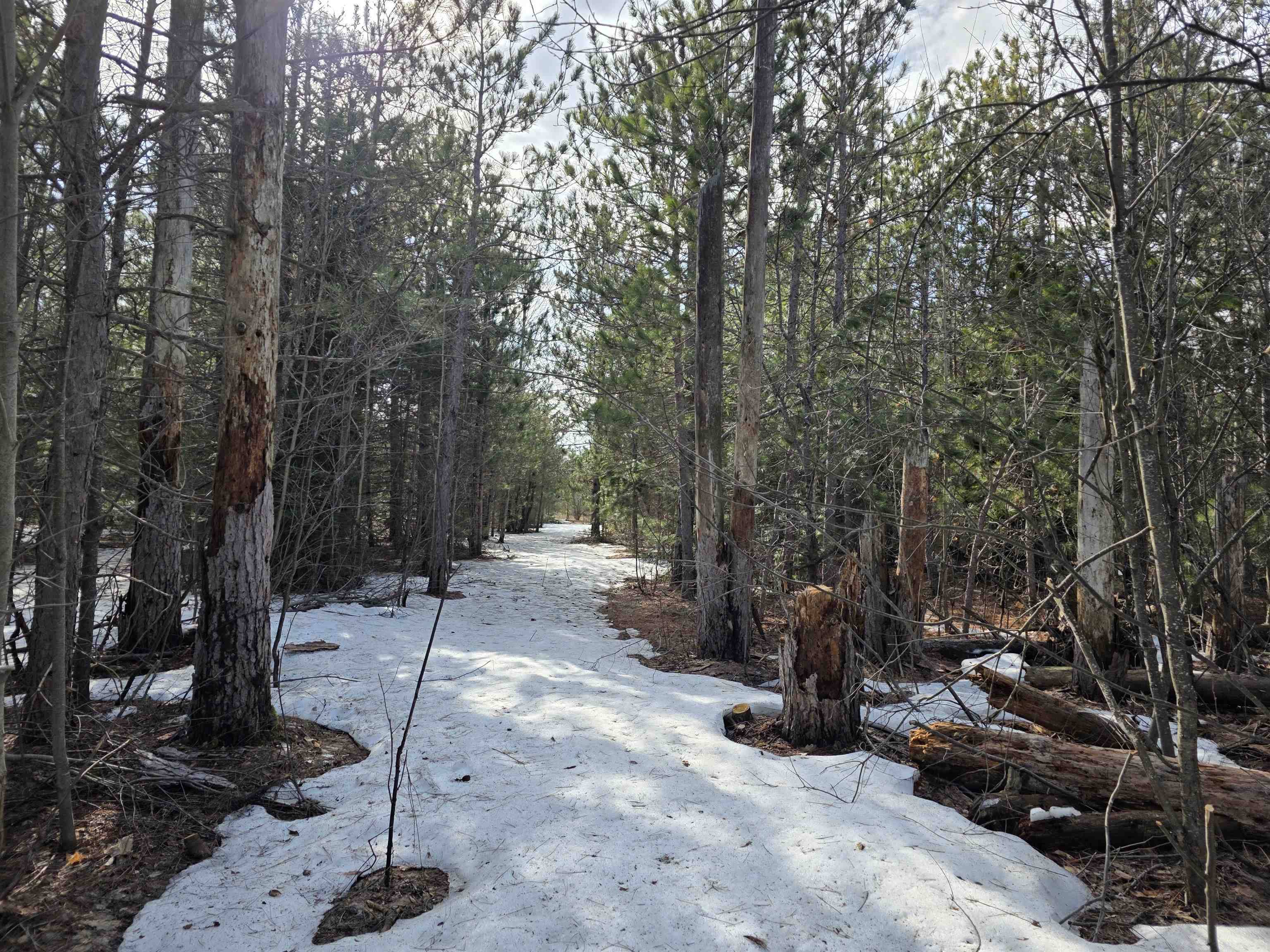 0001 Cedar River RD, Mancelona Twp, MI 49659