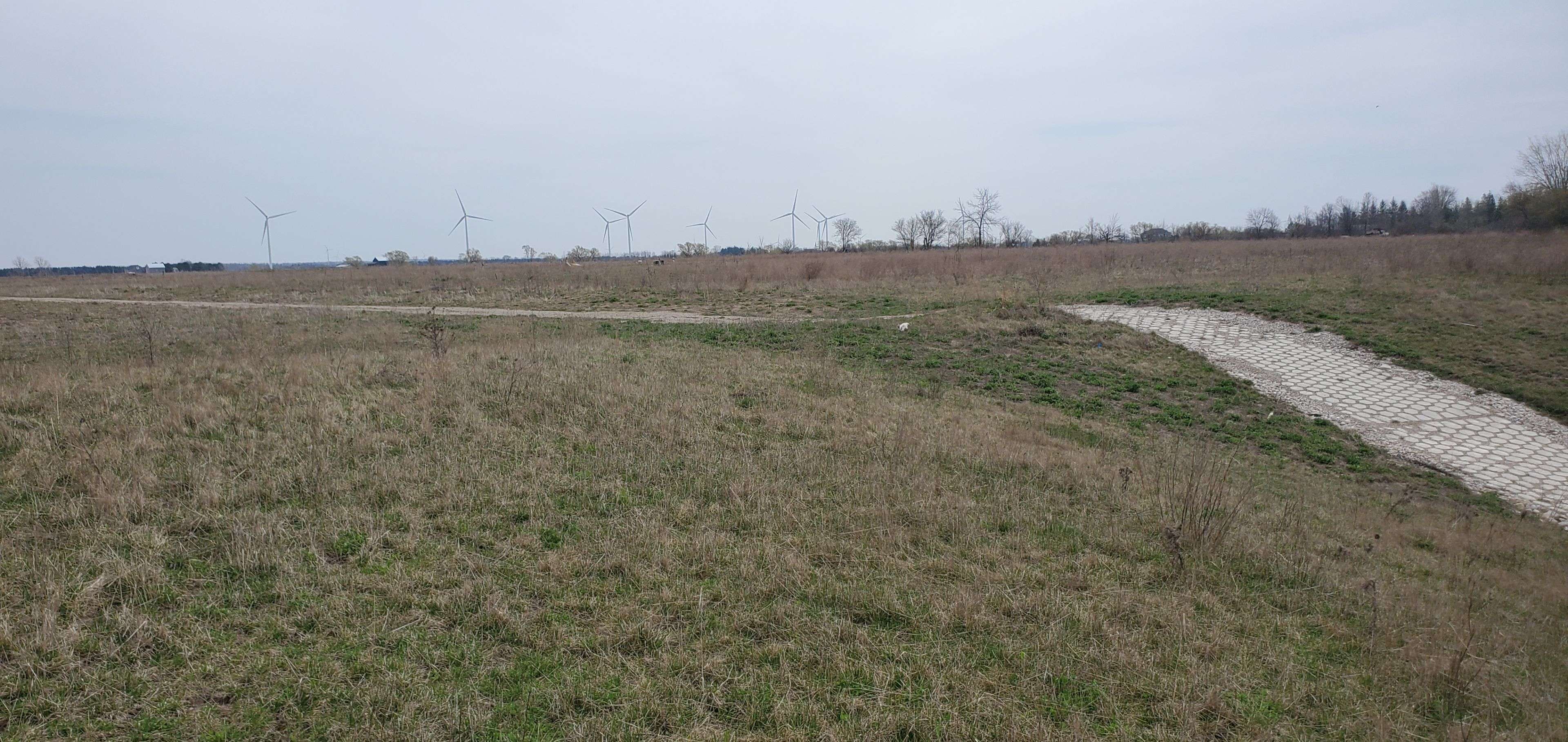 14 IRENE CRES, Bluewater, ON N0M 2T0