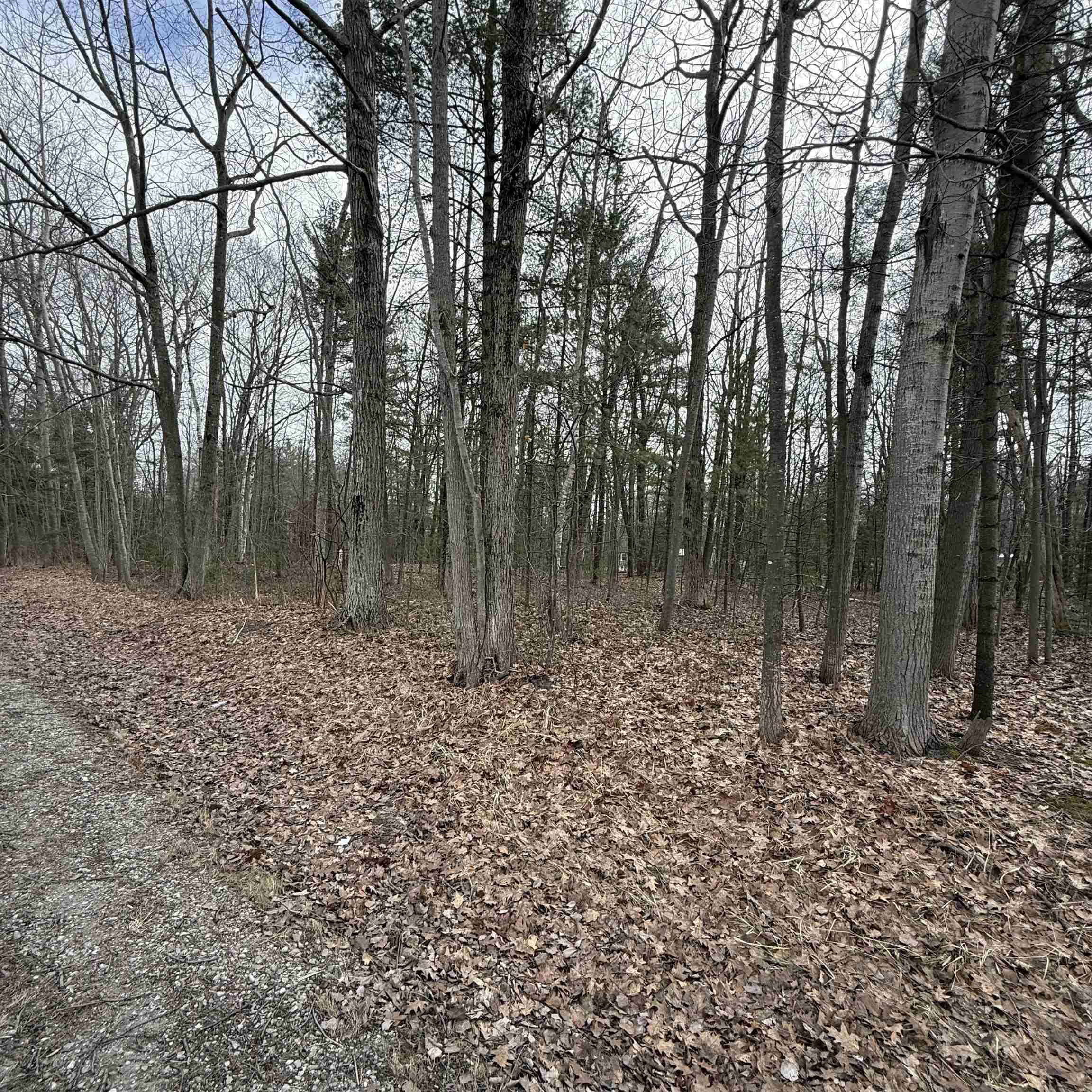 Gaston WAY, Oscoda Twp, MI 48750