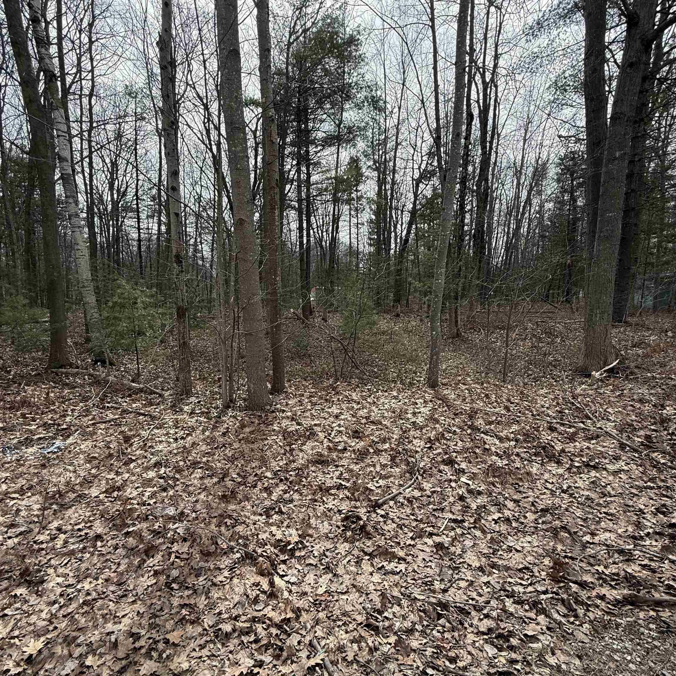 Gaston WAY, Oscoda Twp, MI 48750