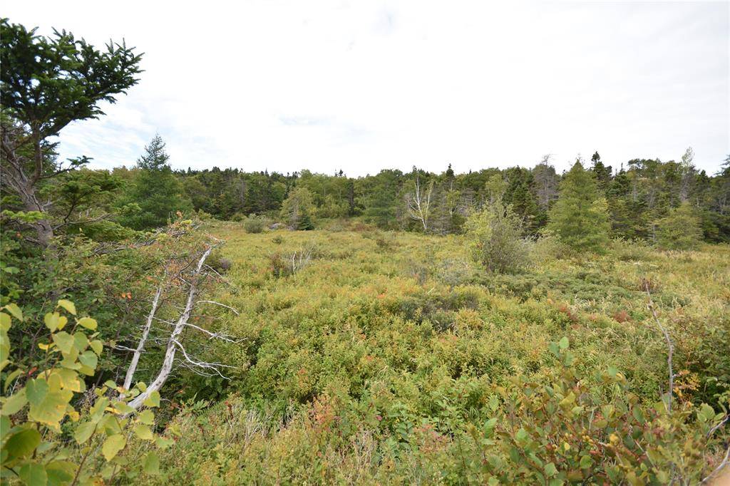 308-310 Anchorage Road, Conception Bay South, NL A1W 4W3