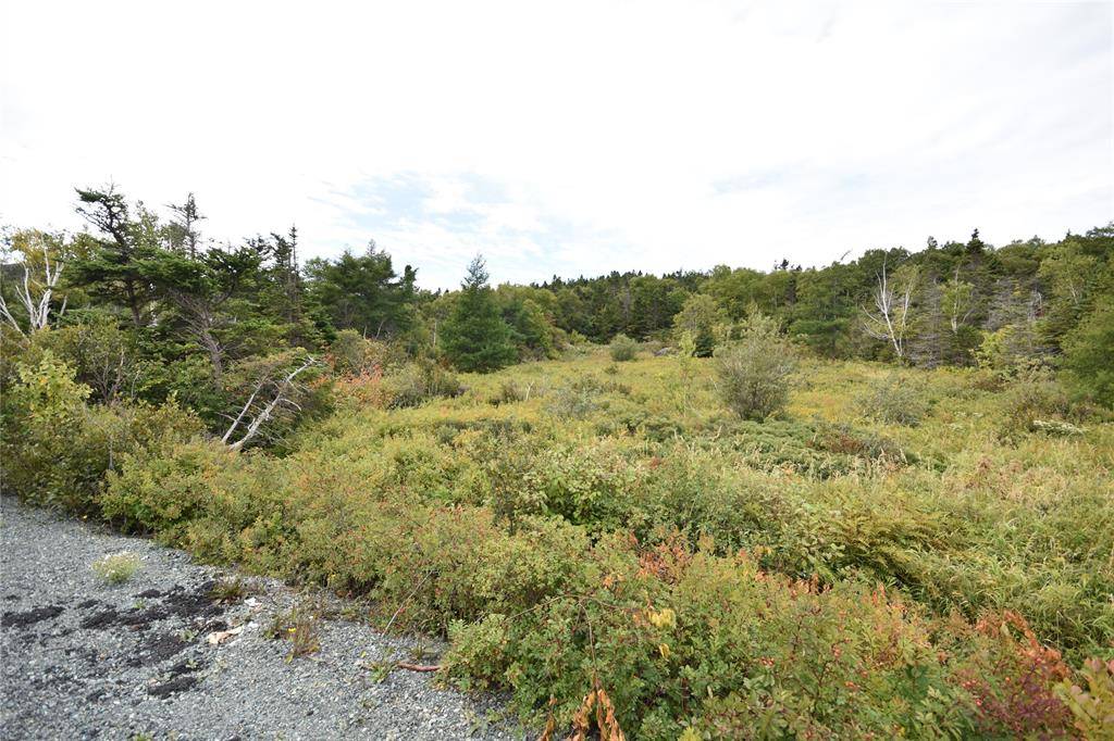 308-310 Anchorage Road, Conception Bay South, NL A1W 4W3