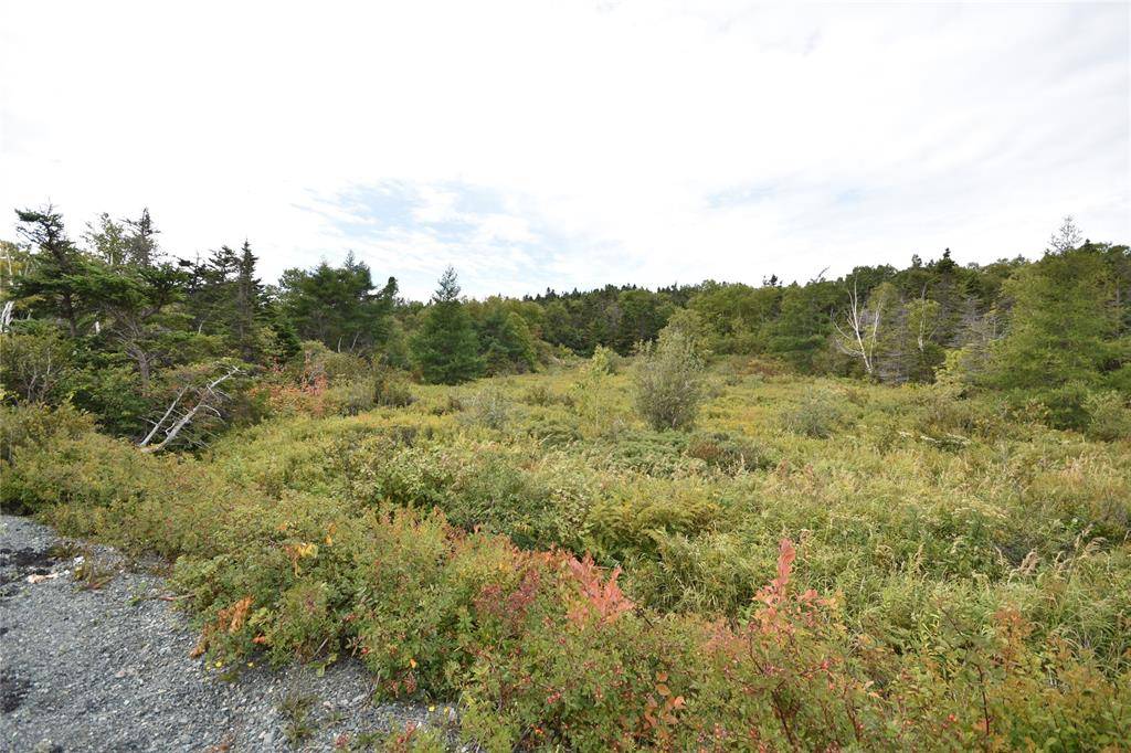 308-310 Anchorage Road, Conception Bay South, NL A1W 4W3