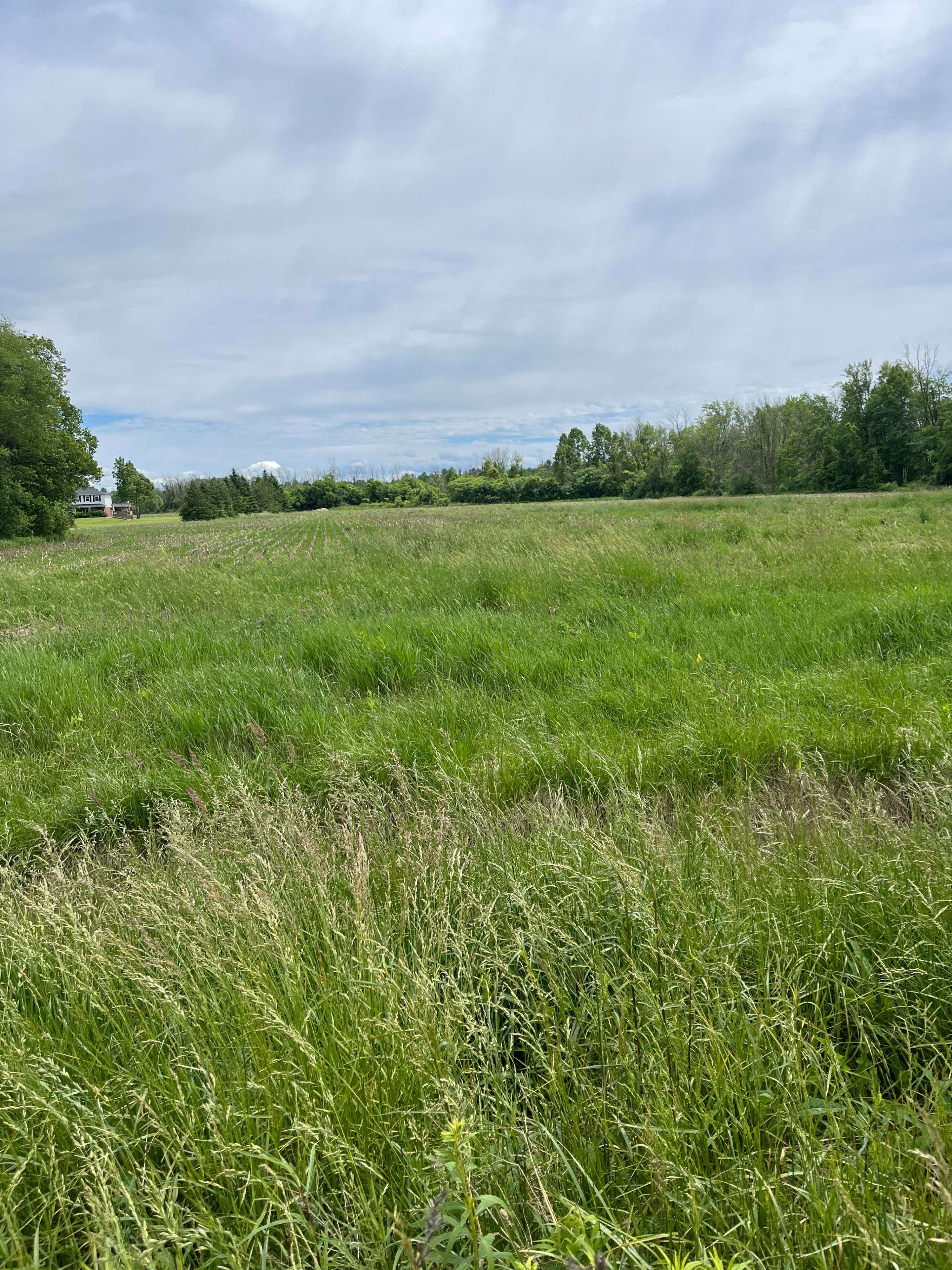 N/A Highway 48 N/A, Georgina, ON L0E 1N0