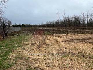 N/A Highway 48 N/A, Georgina, ON L0E 1N0