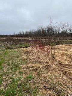 N/A Highway 48 N/A, Georgina, ON L0E 1N0