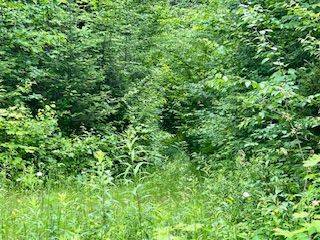 LOT 5 GEORGES RD, Bonfield, ON P0H 1E0