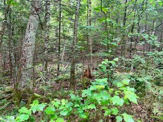 LOT 5 GEORGES RD, Bonfield, ON P0H 1E0