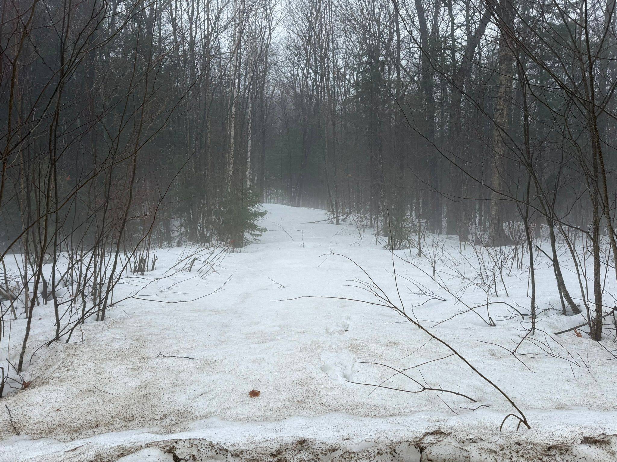 0 Stoney RD, Burk's Falls, ON P0A 1C0