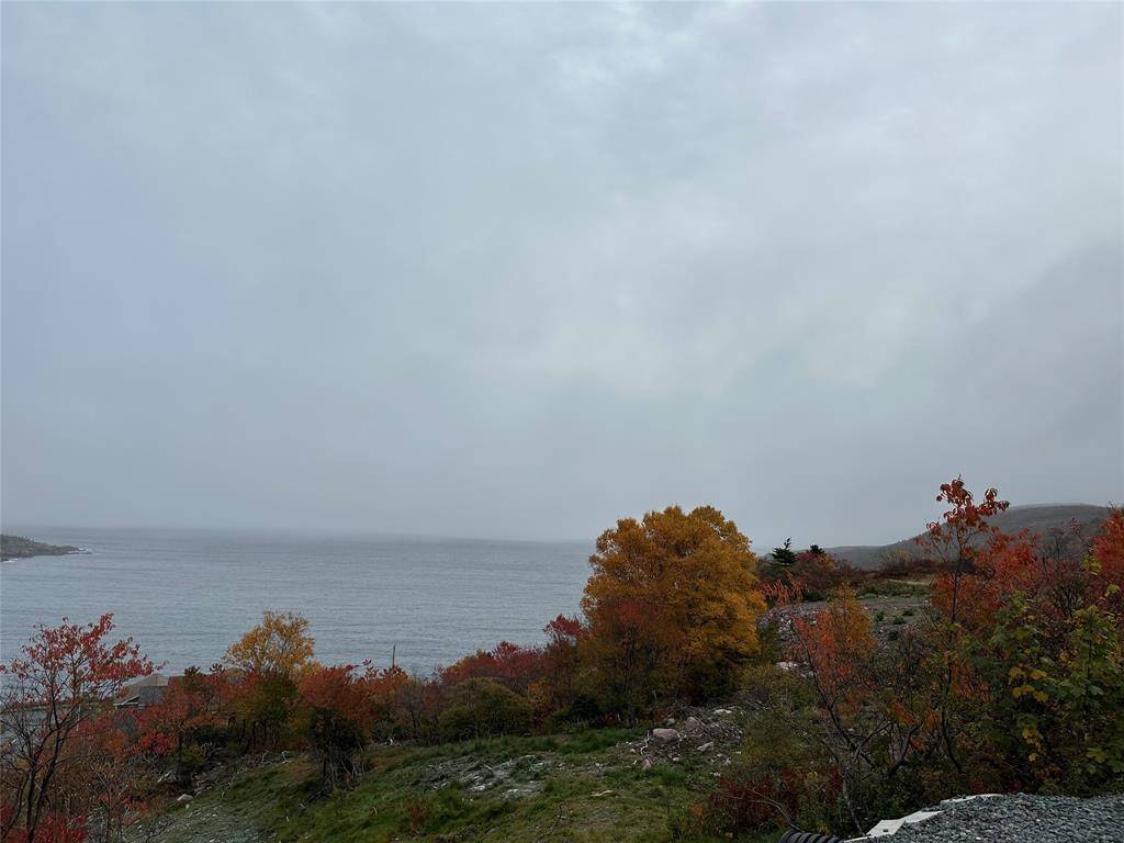 41-45 Motion Bay Road Extension, Petty Harbour- Maddox Cove, NL A0A 3H0