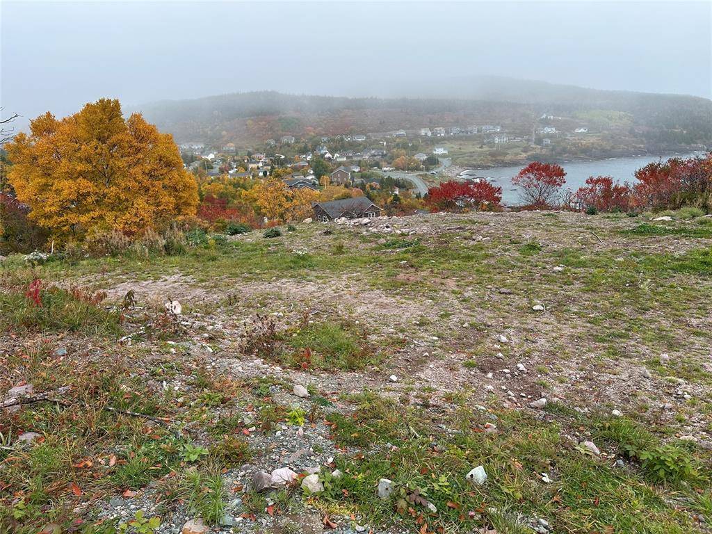 41-45 Motion Bay Road Extension, Petty Harbour- Maddox Cove, NL A0A 3H0