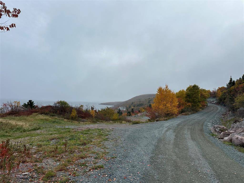 41-45 Motion Bay Road Extension, Petty Harbour- Maddox Cove, NL A0A 3H0