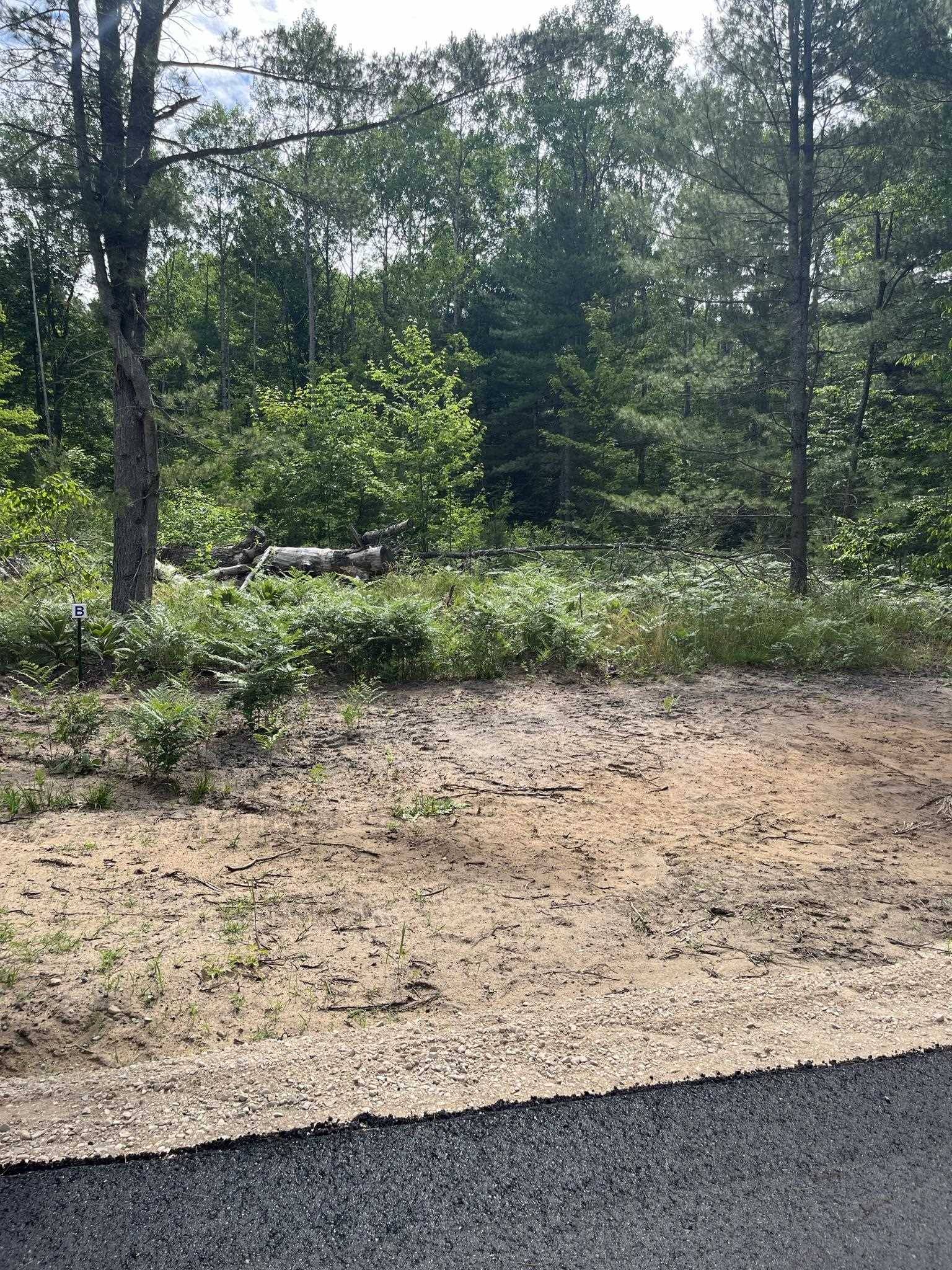 parcel B Hoosier Flats RD, Blair Twp, MI 49685