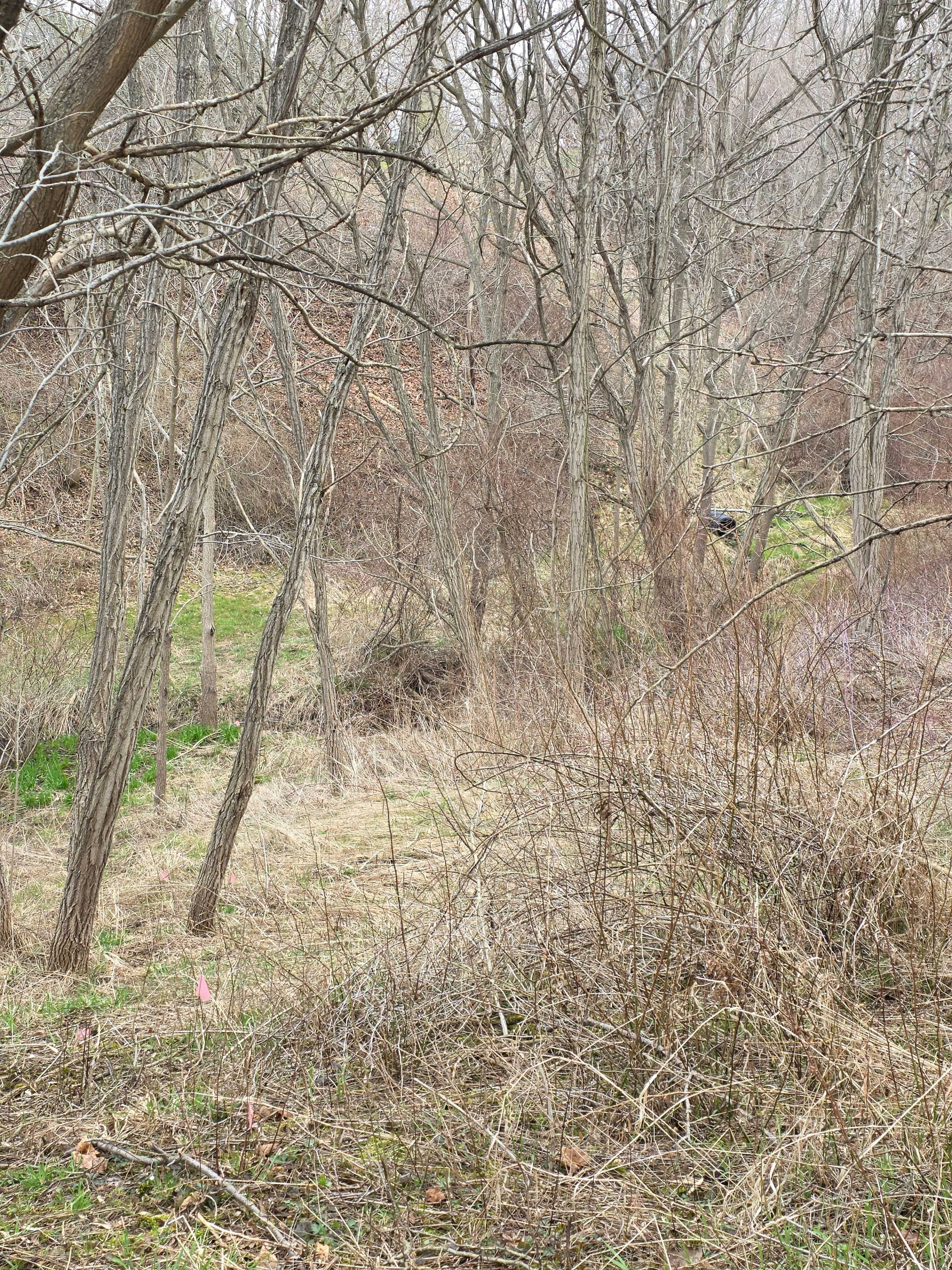 25 Union ST, Bayham, ON N0J 1Z0