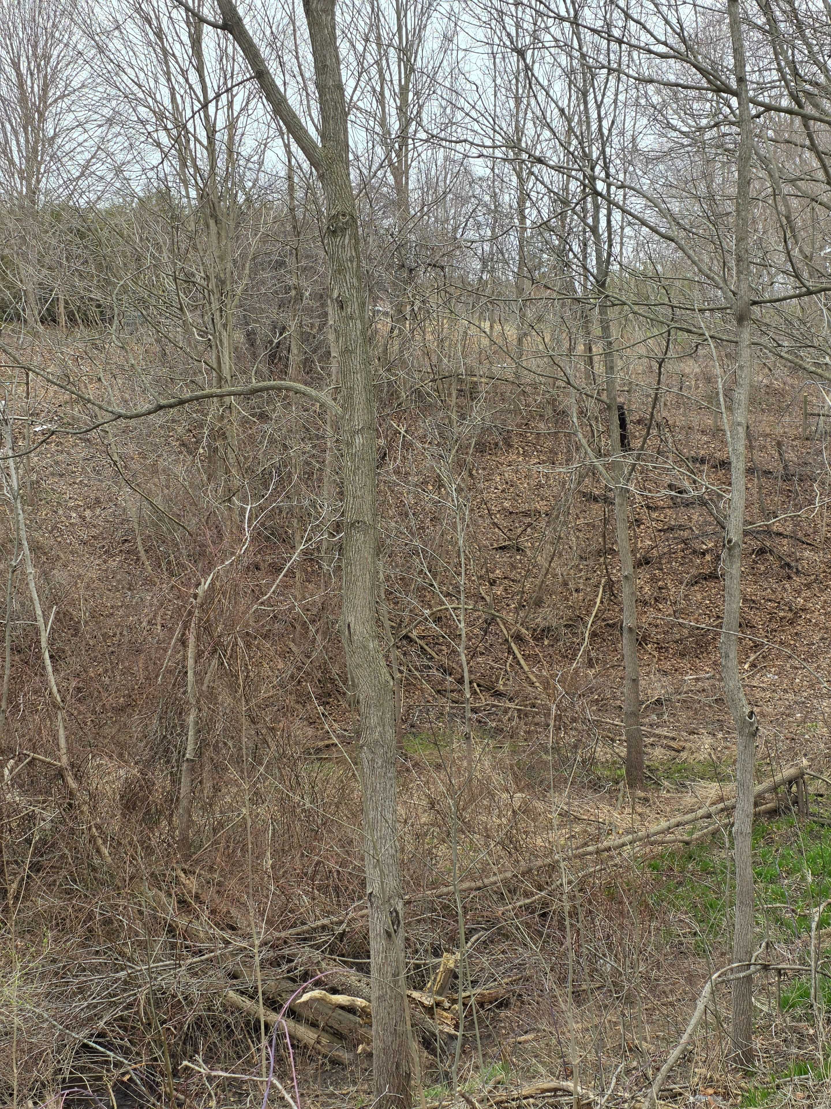 25 Union ST, Bayham, ON N0J 1Z0