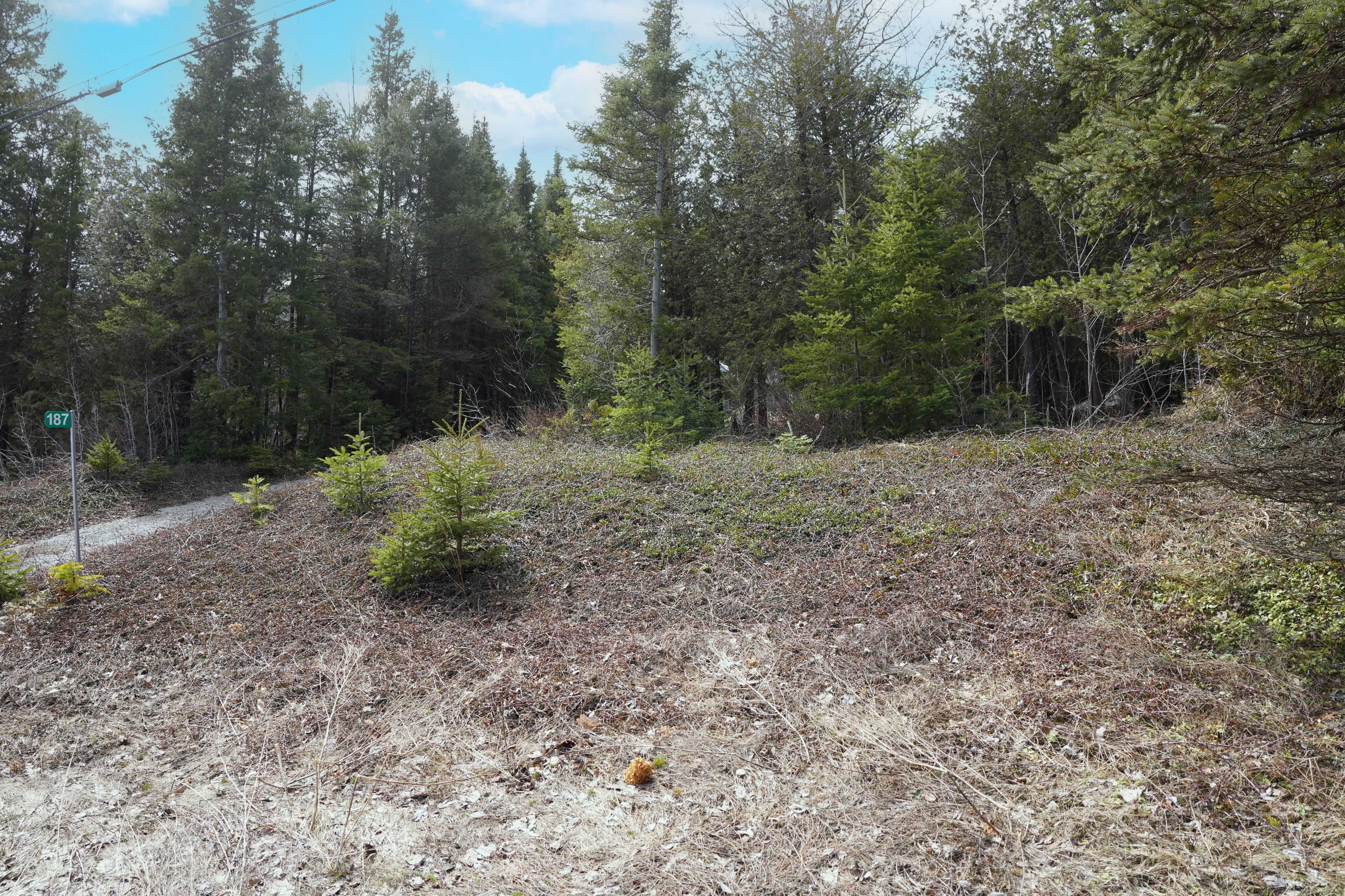 187 Isthmus Bay RD, Northern Bruce Peninsula, ON N0H 1W0
