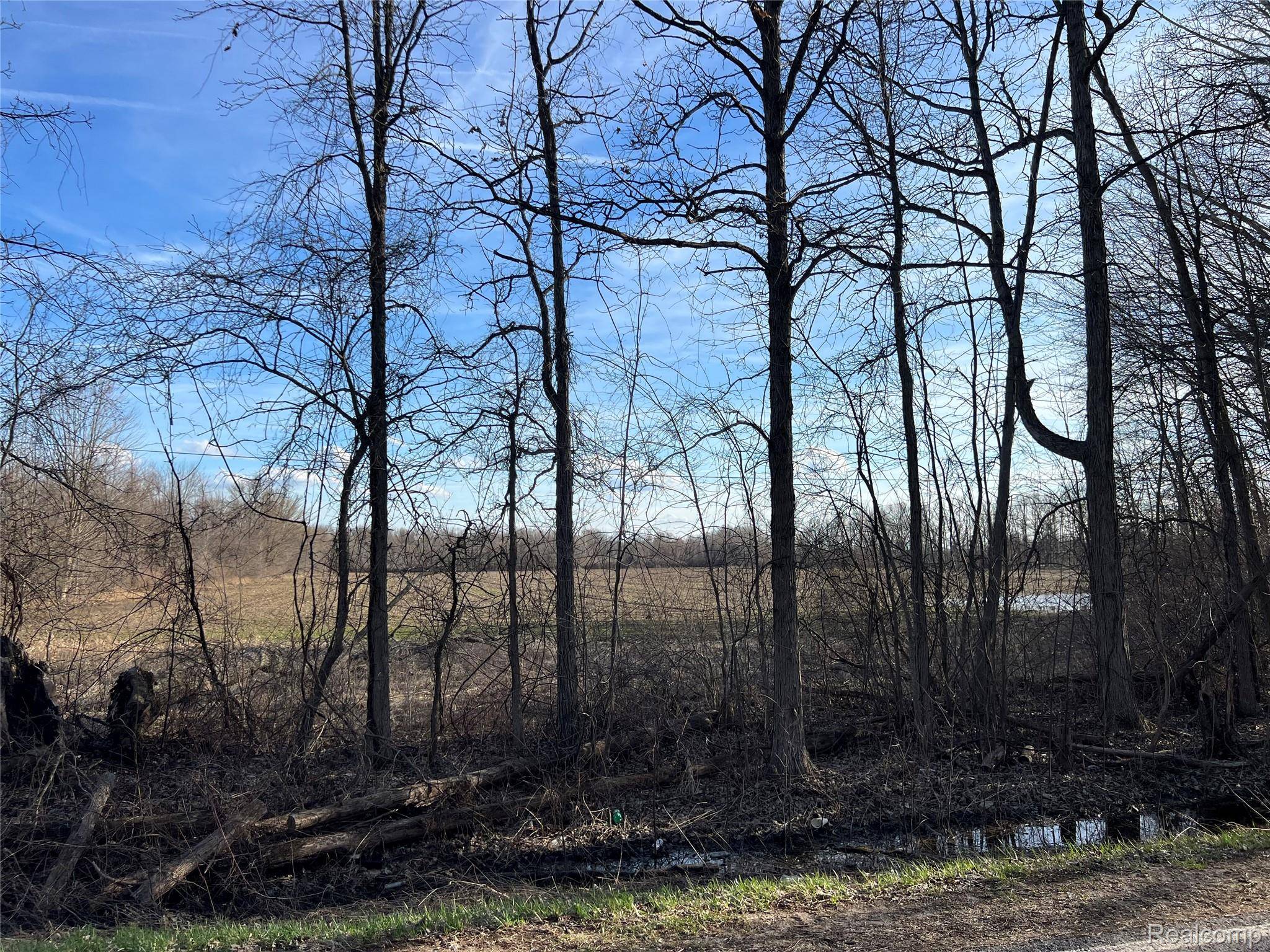 10 Acres Vacant Land Vernor RD, Mayfield Township, MI 48446