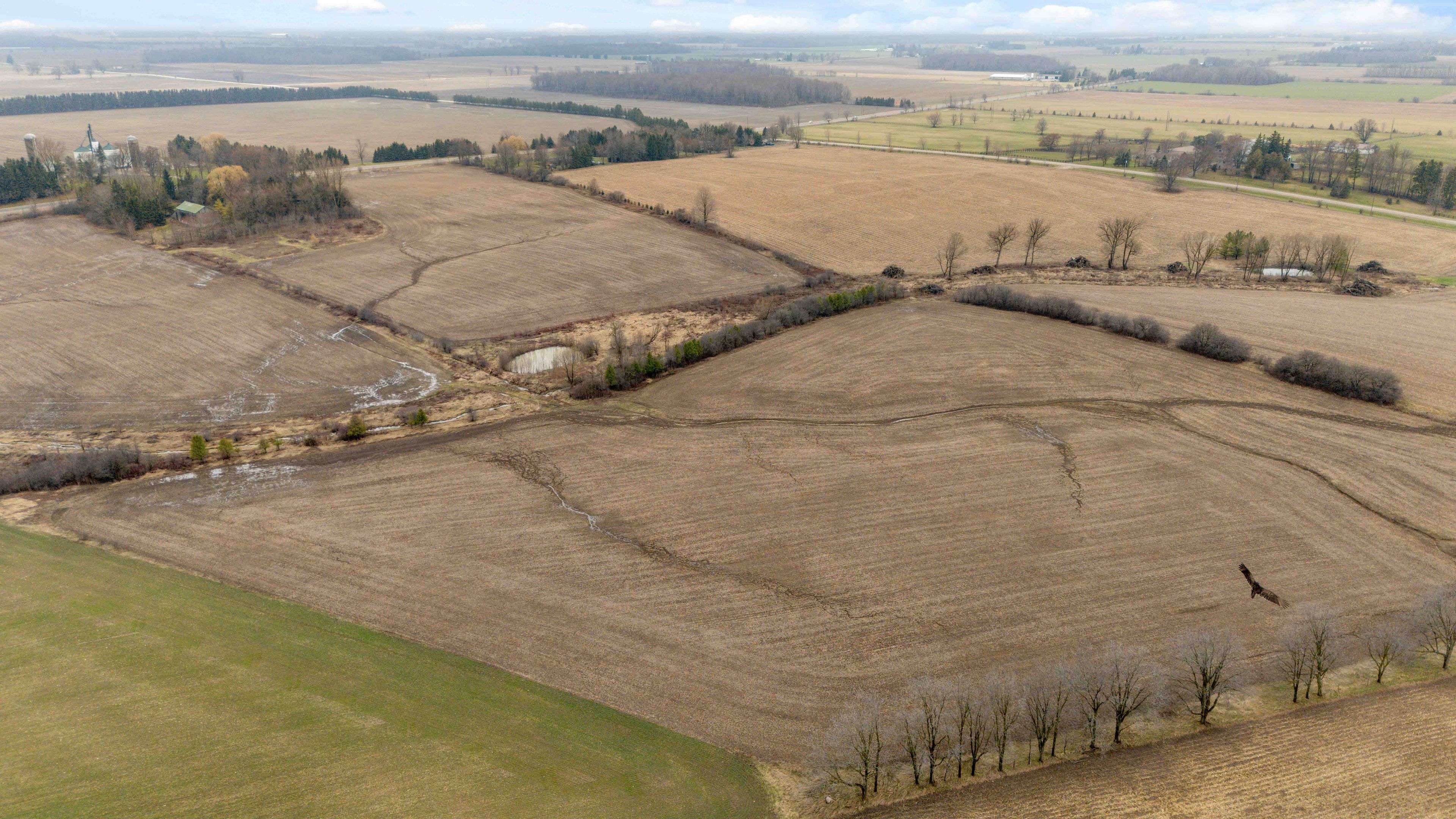 16376 Elginfield RD, Lucan Biddulph, ON N0M 2P0