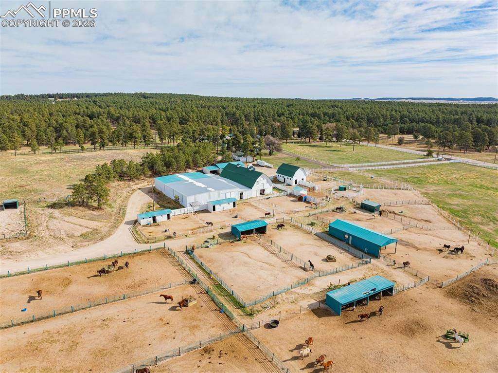 13354 N Meridian RD, Elbert, CO 80106