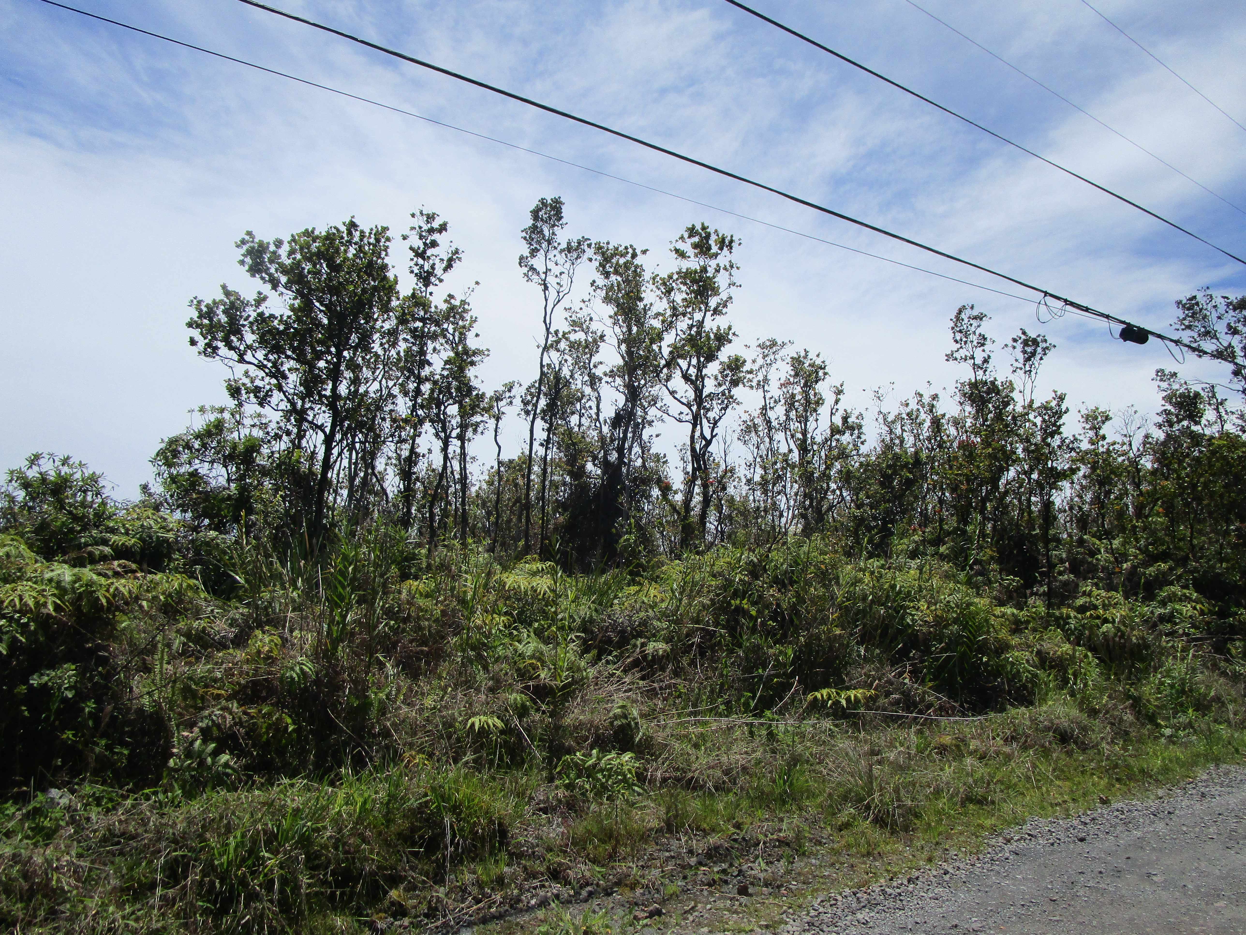 OHIALANI RD, Volcano, HI 96785