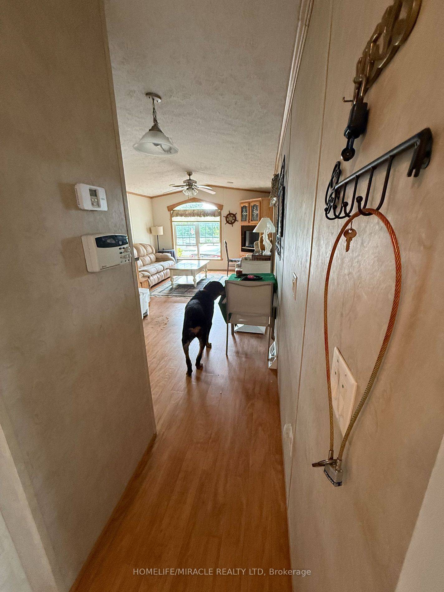 11 Grandview DR, Otonabee-south Monaghan, ON K0L 2G0