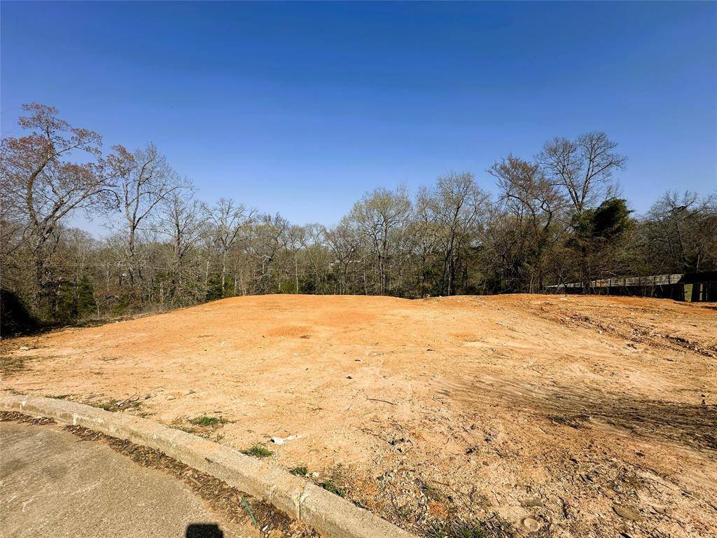 110 Elmwood Court, Palestine, TX 75801